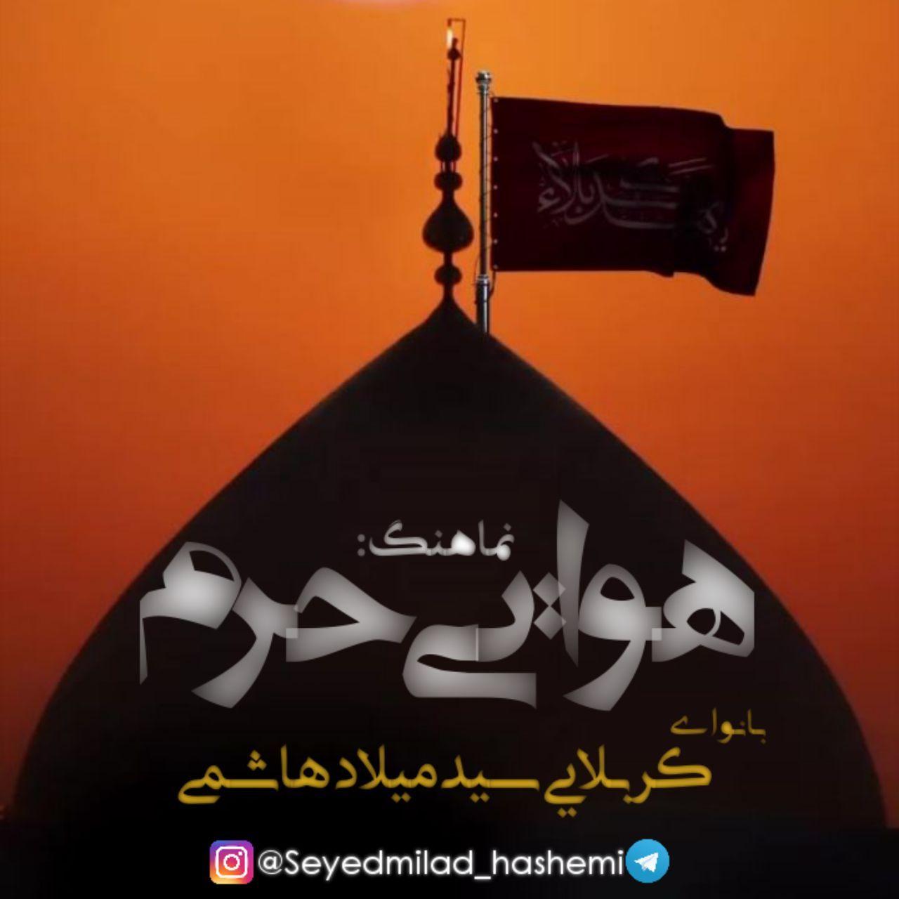 دانلود آهنگ هوایی حرم سید میلاد هاشمی